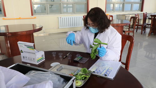 蠡縣“你點我檢”服務惠民，舌尖安全看得見