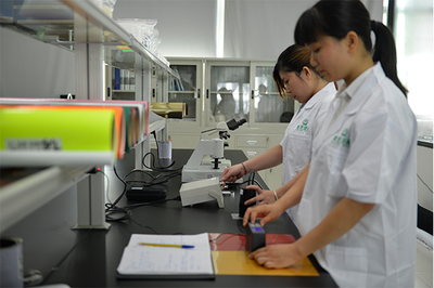 熱轉(zhuǎn)印燙畫廠檢測服務(wù) 品質(zhì)保障的堅(jiān)實(shí)后盾